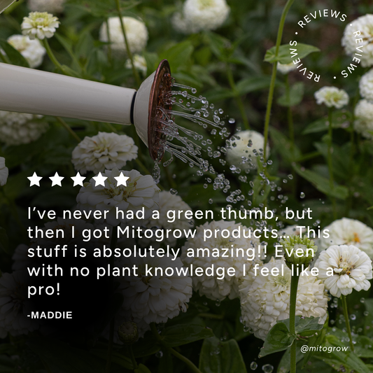 Pots & Planters indoor fertilizer by MitoGrow; sprinkler watering white blooms on Tampa Home & Garden Store