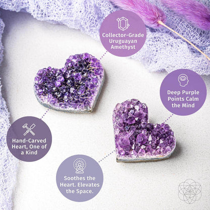 Uruguayan Amethyst Love Heart Cluster - AAA Premium Quality - Tampa Home & Garden Store