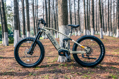 Electric bicycle Specter S 3.0 Hunter X9 fat-tire by Eunorau beige frame parked by tree on Tampa Home & Garden Store