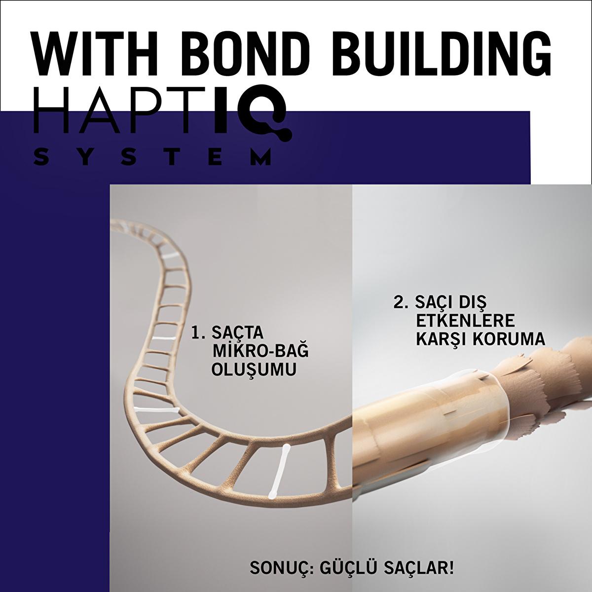 Gliss Night Elixir hair repair serum with HAPTIQ bond-building system, hair strand and tube on Tampa Home & Garden Store