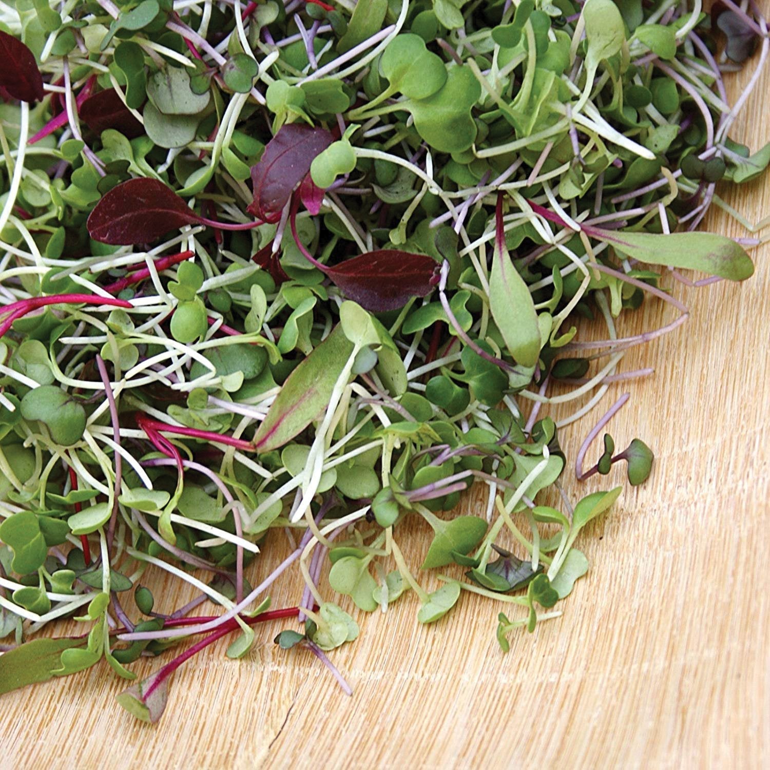 Sprout & Microgreen Mix microgreens with green and purple stems on cutting board Seedtime Store on Tampa Home & Garden Store