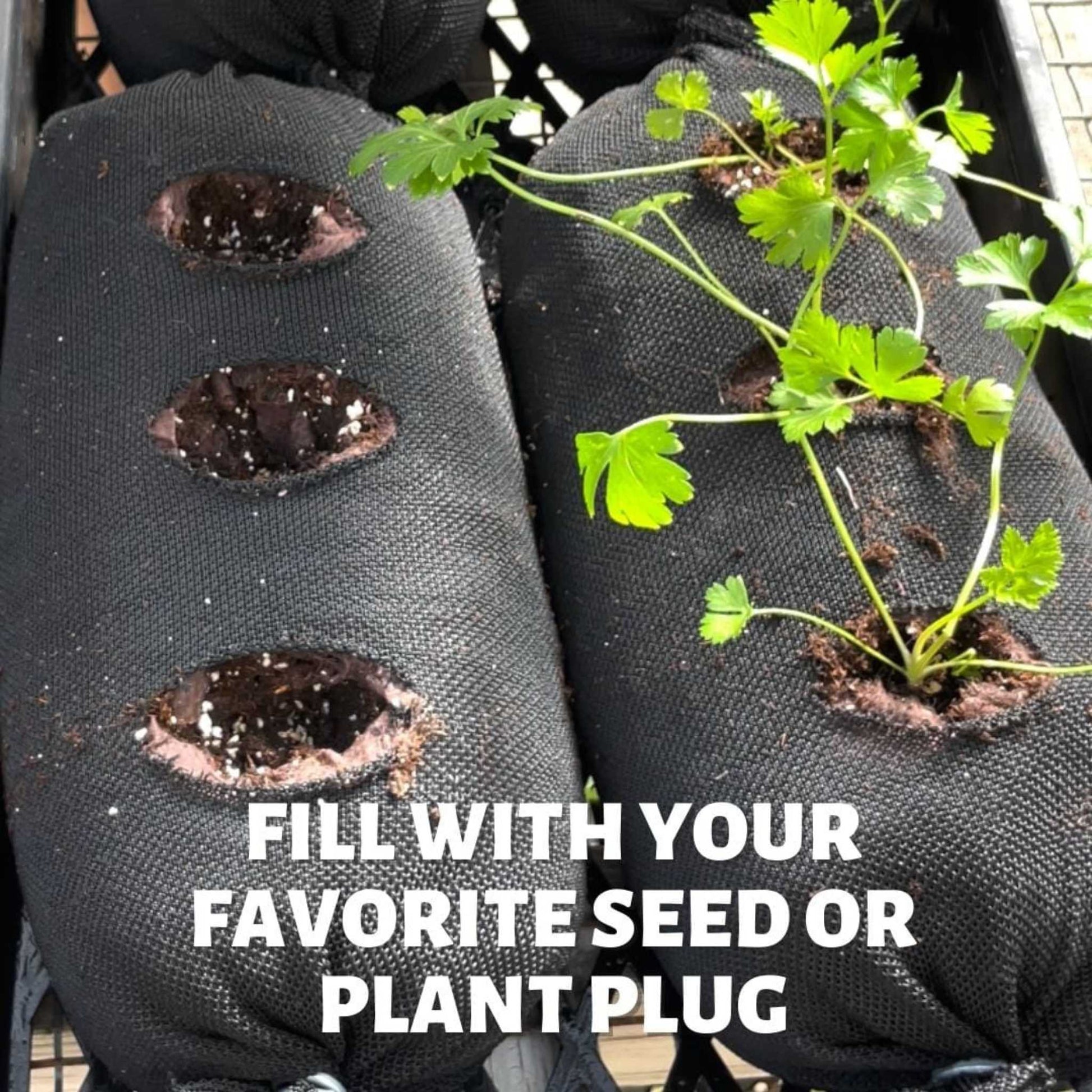 Varden™ Soil-Filled Vardensok - Tampa Home & Garden Store