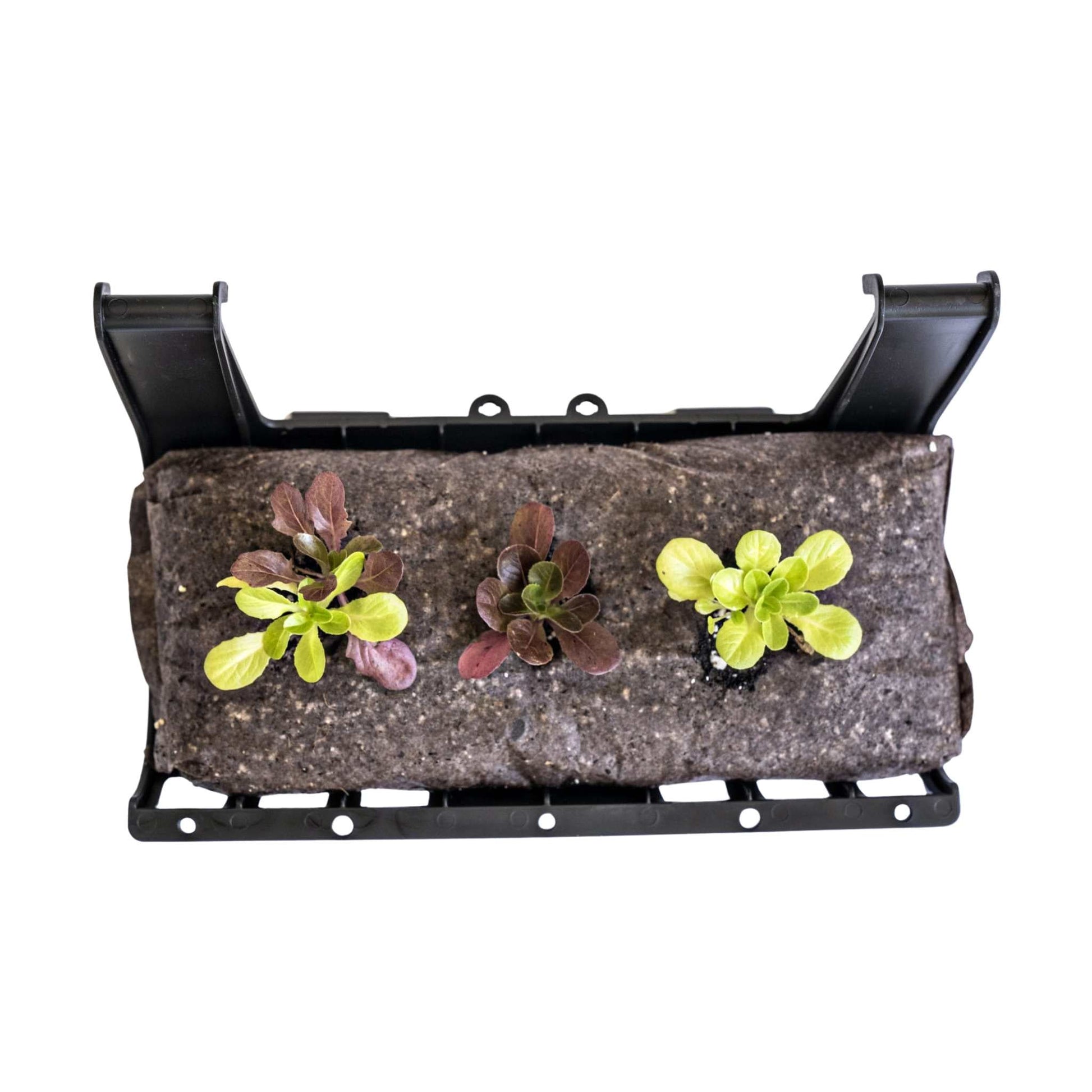 Varden™ Trays - Tampa Home & Garden Store