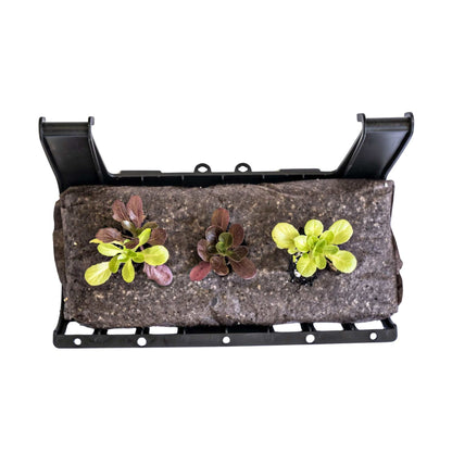 Varden™ Trays - Tampa Home & Garden Store