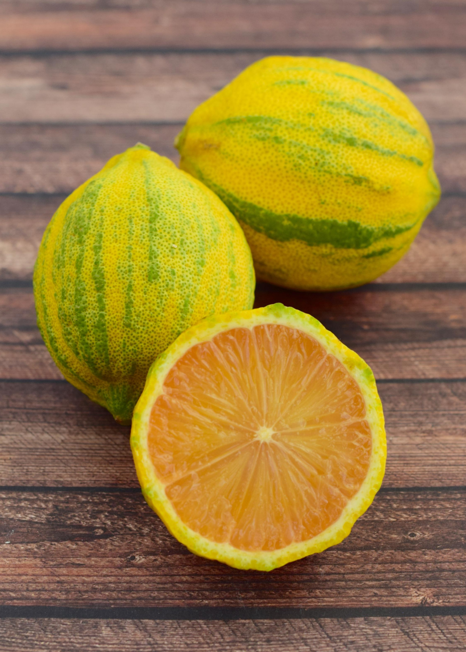 Variegated Pink Lemon Tree (Citrus limon 'Eureka Variegated Pink') - Tampa Home & Garden Store