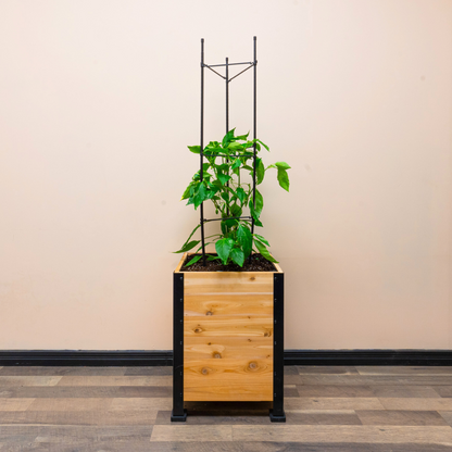 Vegetable Cage | Vegetable Plant Support - Tampa Home & Garden Store