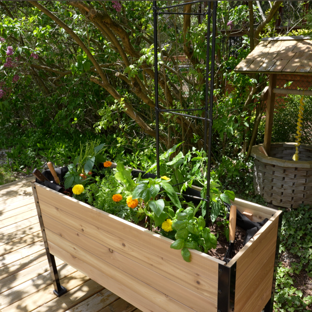 Vegetable Cage | Vegetable Plant Support - Tampa Home & Garden Store