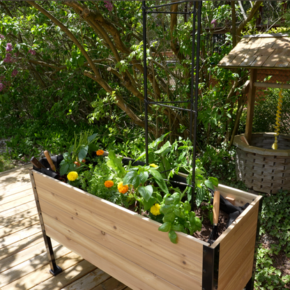 Vegetable Cage | Vegetable Plant Support - Tampa Home & Garden Store