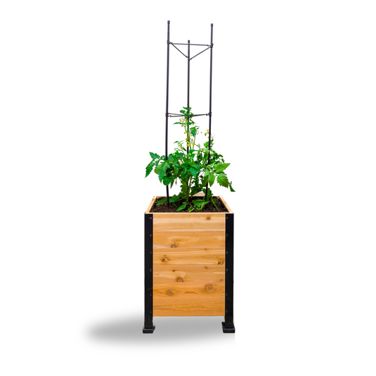 Vegetable Cage | Vegetable Plant Support - Tampa Home & Garden Store