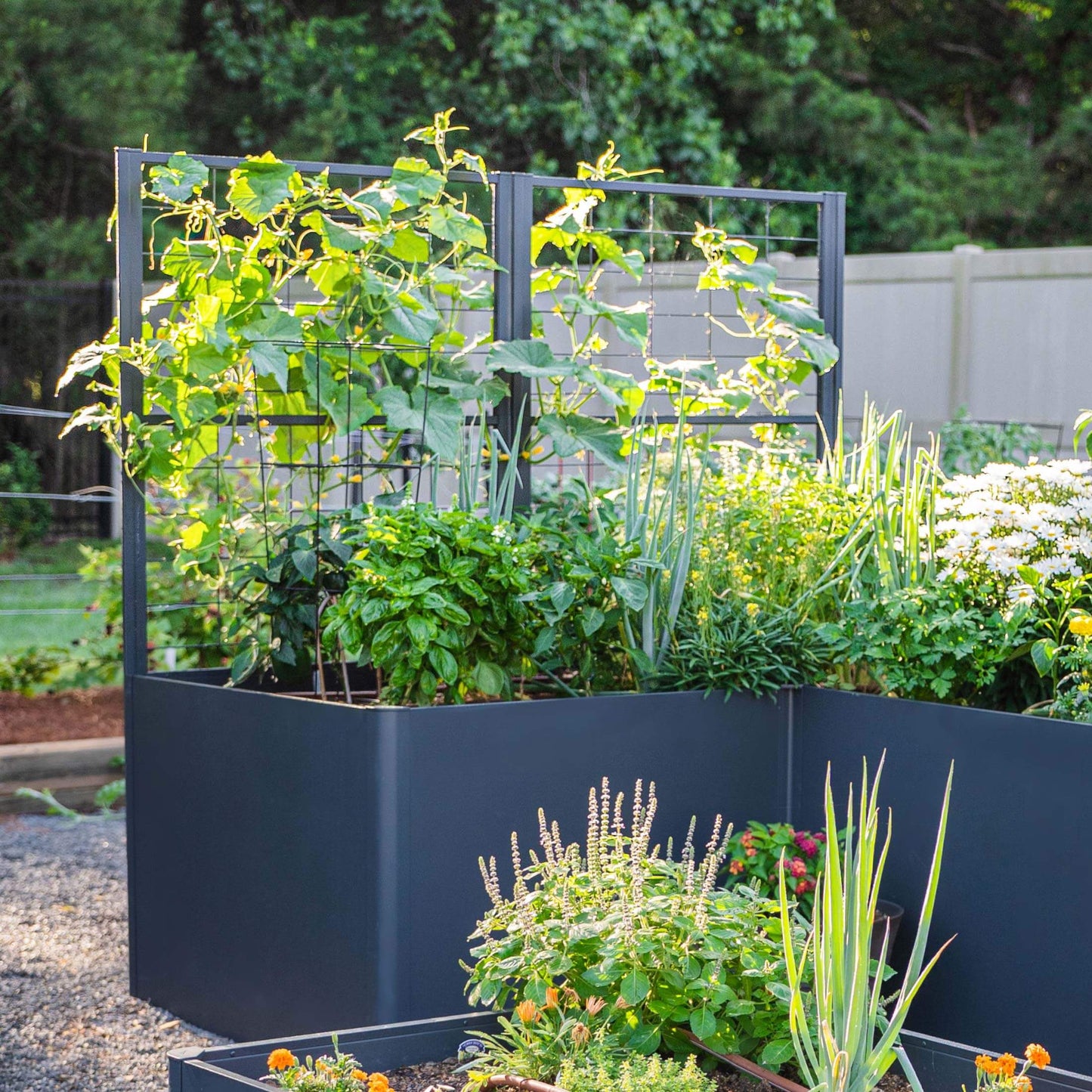 Vego Modern Privacy Trellis - Tampa Home & Garden Store
