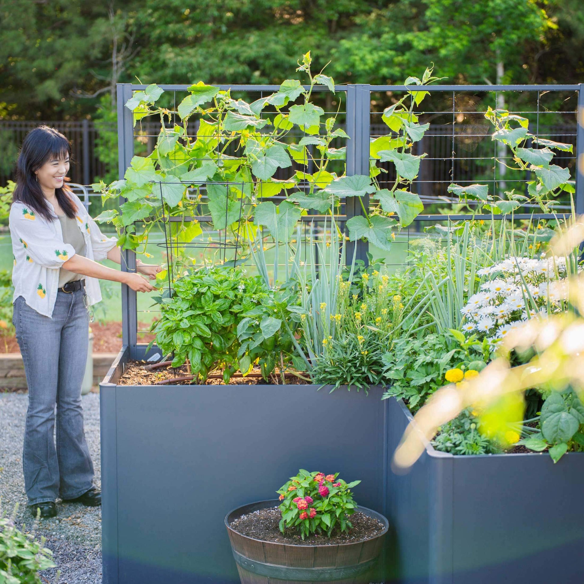 Vego Modern Privacy Trellis - Tampa Home & Garden Store