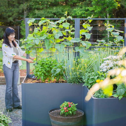 Vego Modern Privacy Trellis - Tampa Home & Garden Store