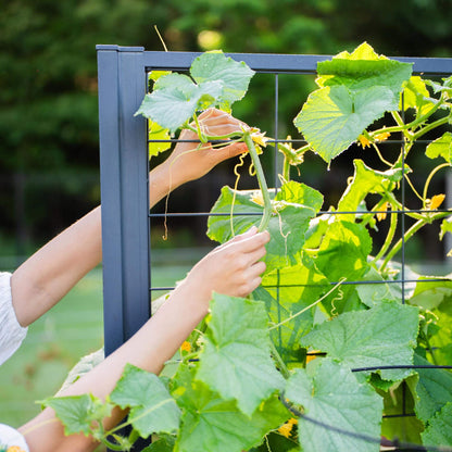 Vego Modern Privacy Trellis - Tampa Home & Garden Store