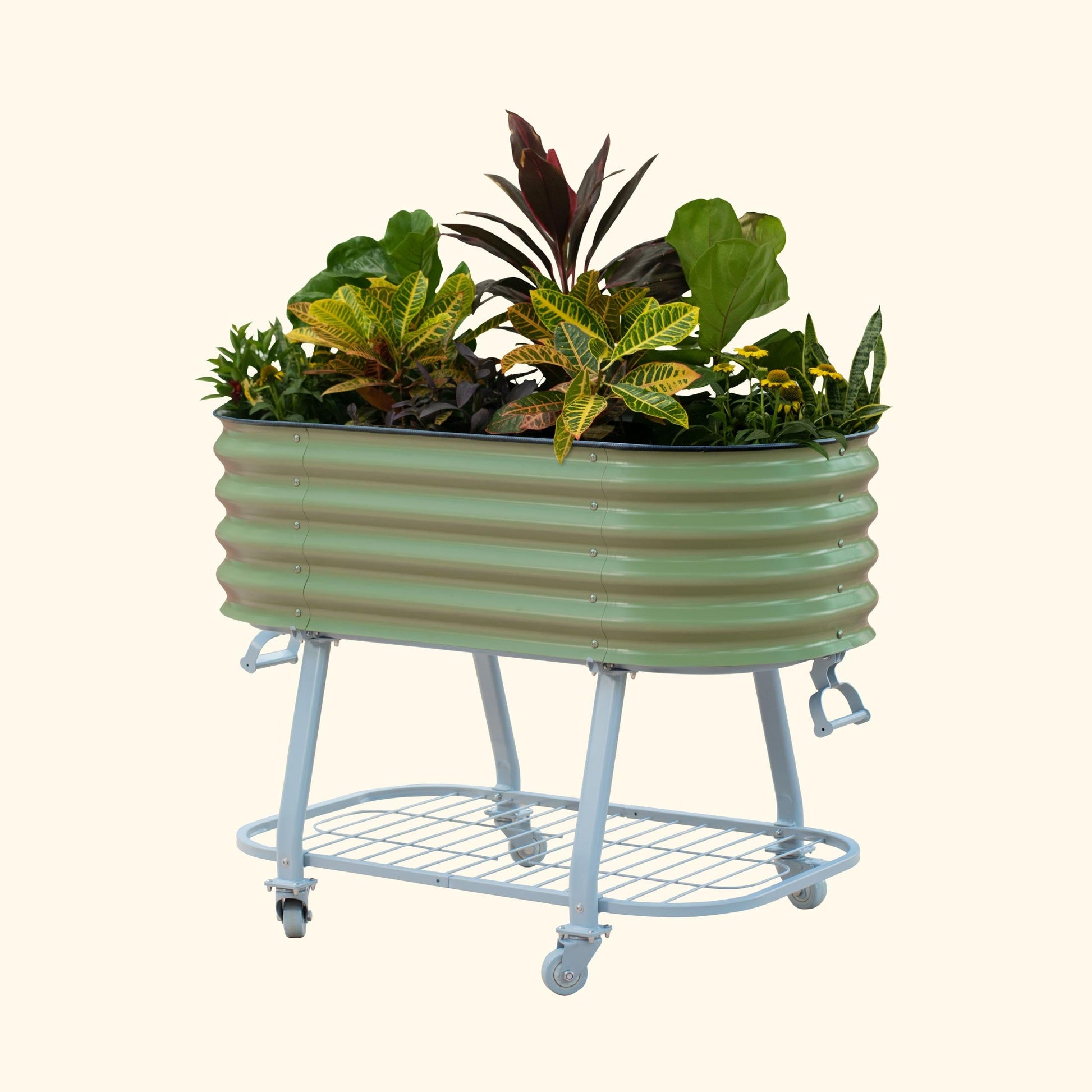 Vego Rolling Elevated Raised Garden Bed Self Watering | 2 Sizes - Tampa soil911.com