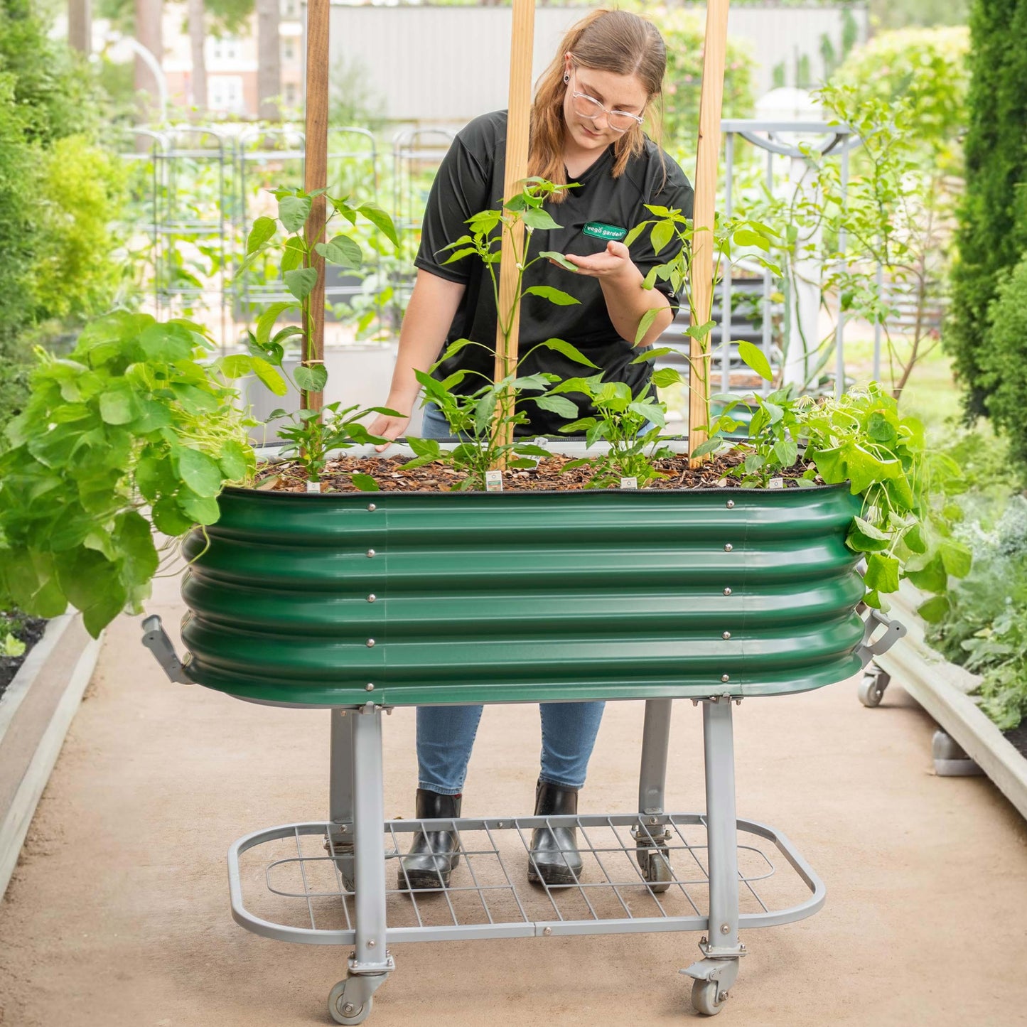 Vego Rolling Elevated Raised Garden Bed Self Watering - Tampa Home & Garden Store