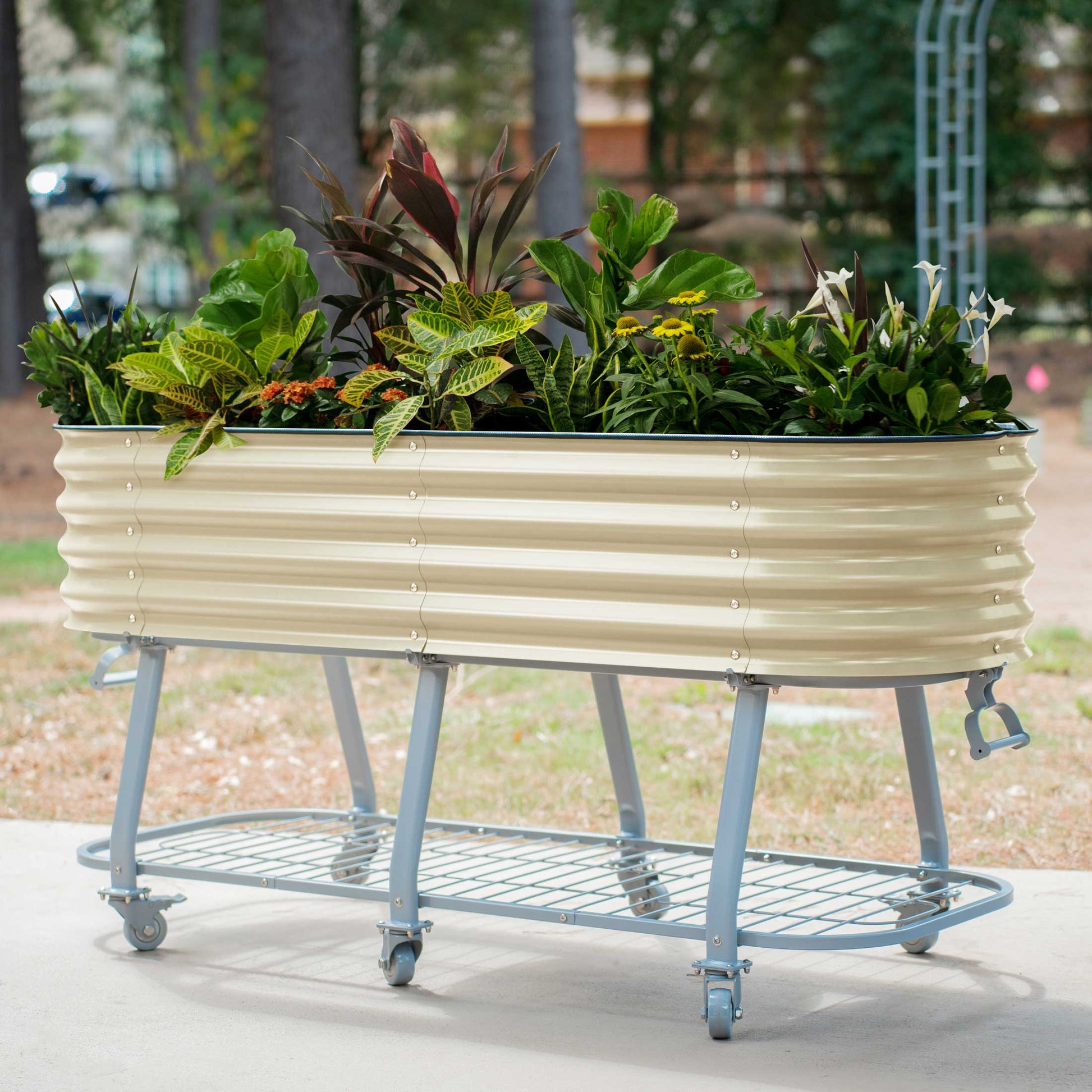 Vego Rolling Elevated Raised Garden Bed Self Watering - Tampa Home & Garden Store