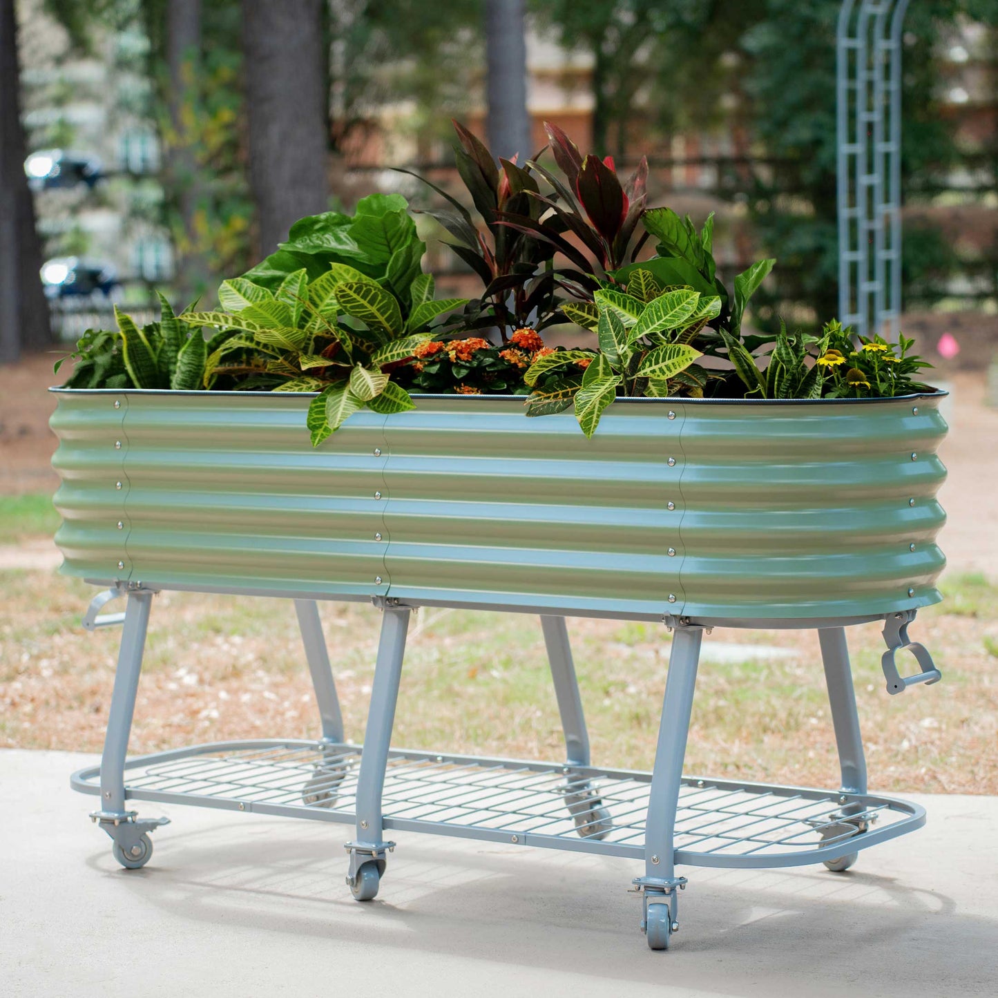 Vego Rolling Elevated Raised Garden Bed Self Watering - Tampa Home & Garden Store
