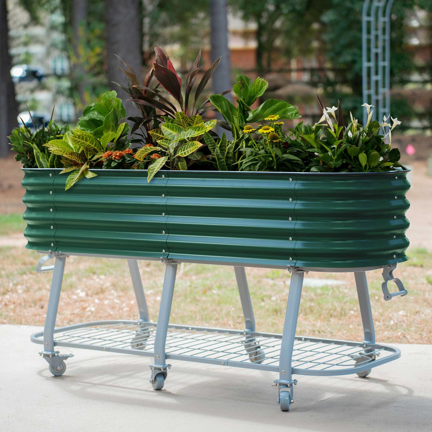 Vego Rolling Elevated Raised Garden Bed Self Watering - Tampa Home & Garden Store