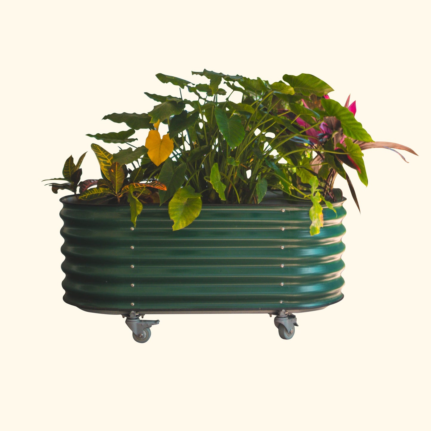 Vego Rolling Garden Bed Self Watering | Large Rolling Planters - Tampa soil911.com