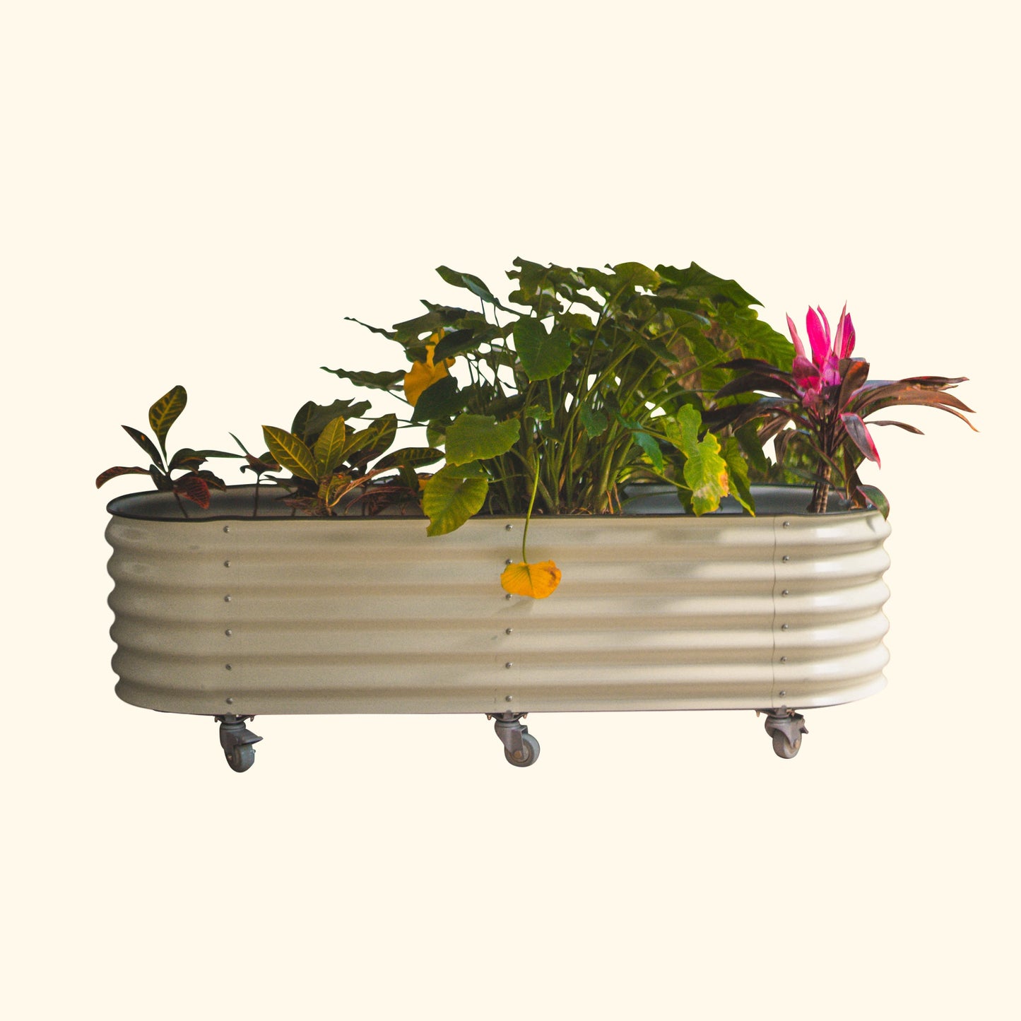 Vego Rolling Garden Bed Self Watering Large Rolling Planters - Tampa Home & Garden Store
