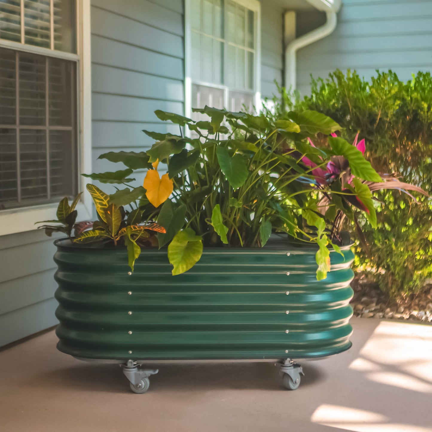 Vego Rolling Garden Bed Self Watering Large Rolling Planters - Tampa Home & Garden Store