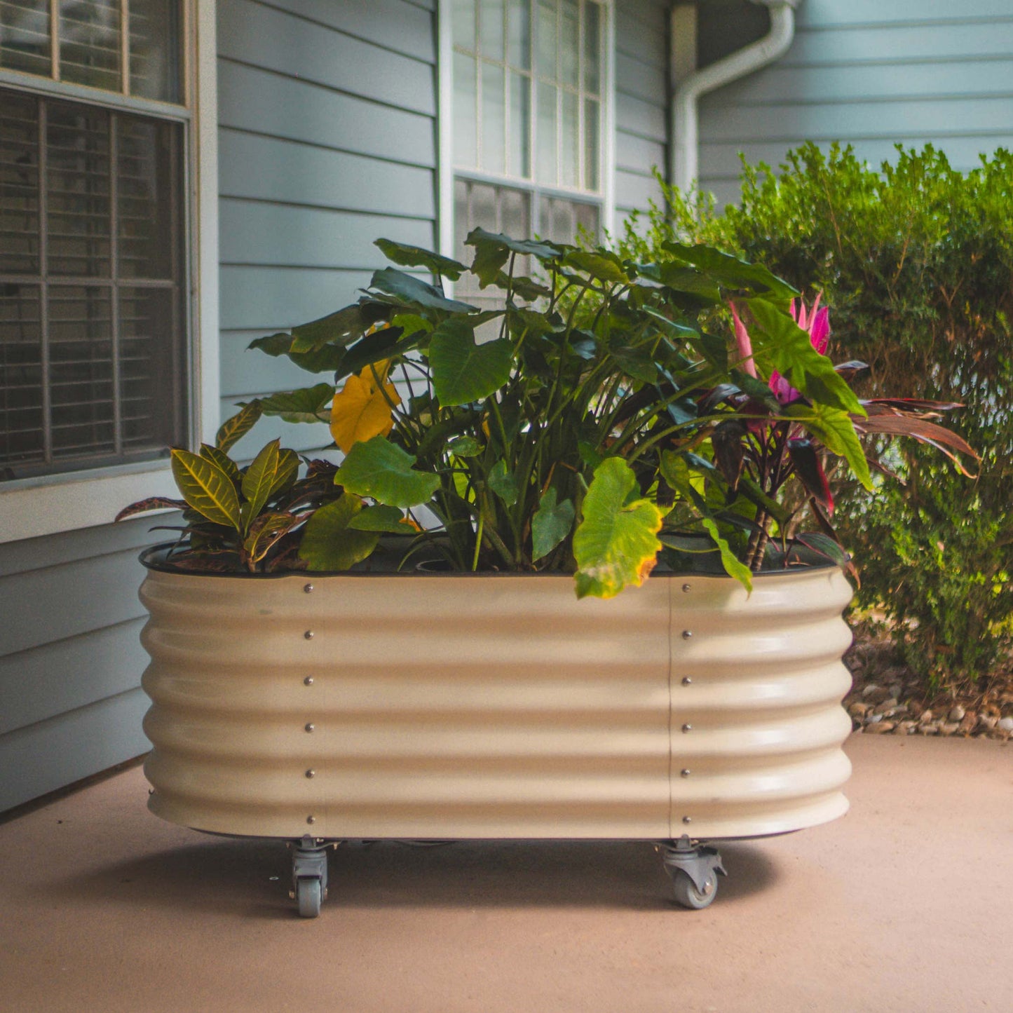 Vego Rolling Garden Bed Self Watering Large Rolling Planters - Tampa Home & Garden Store