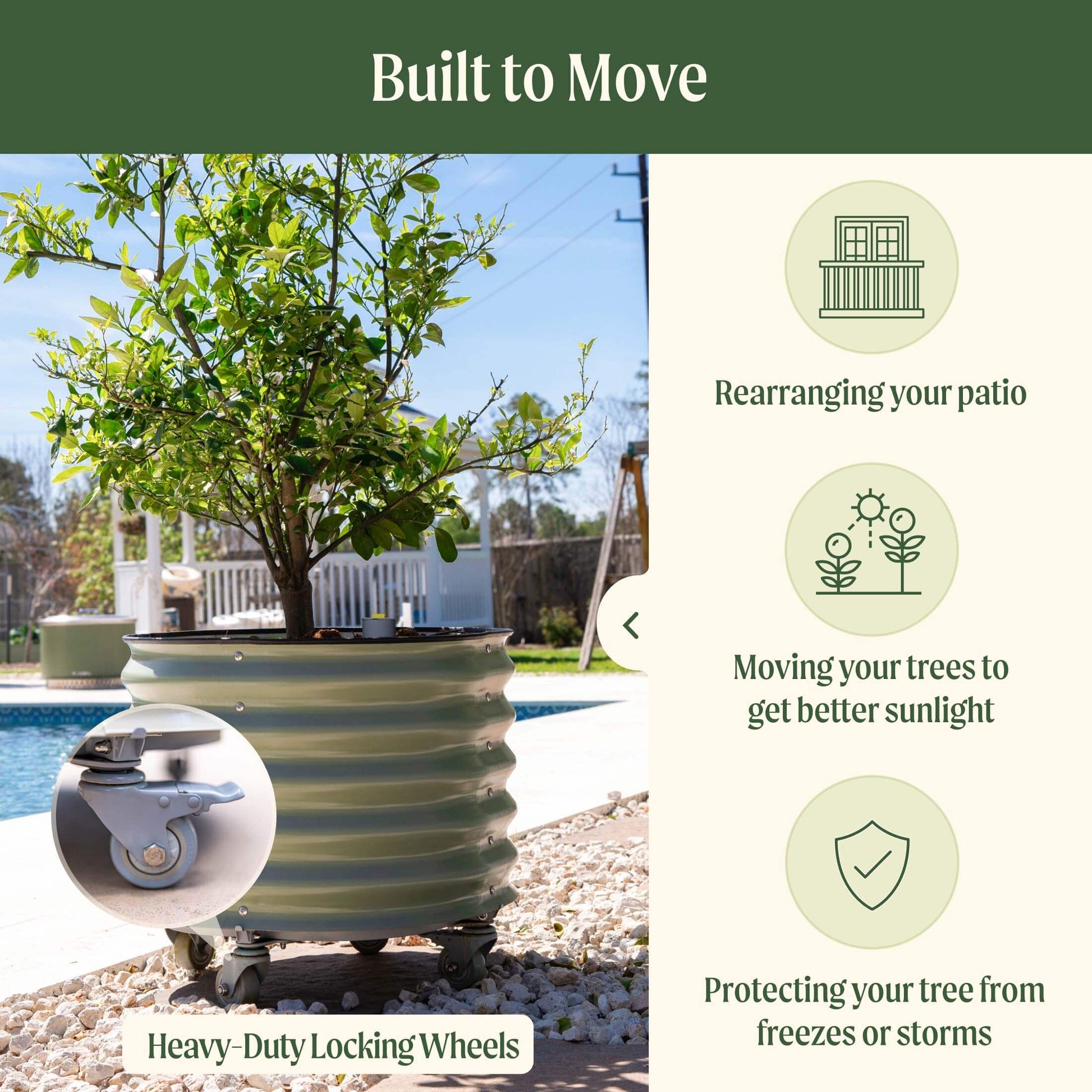 viva self watering rolling planter Self-Watering Rolling Citrus Tree Planter, Pearl White / Single Pack