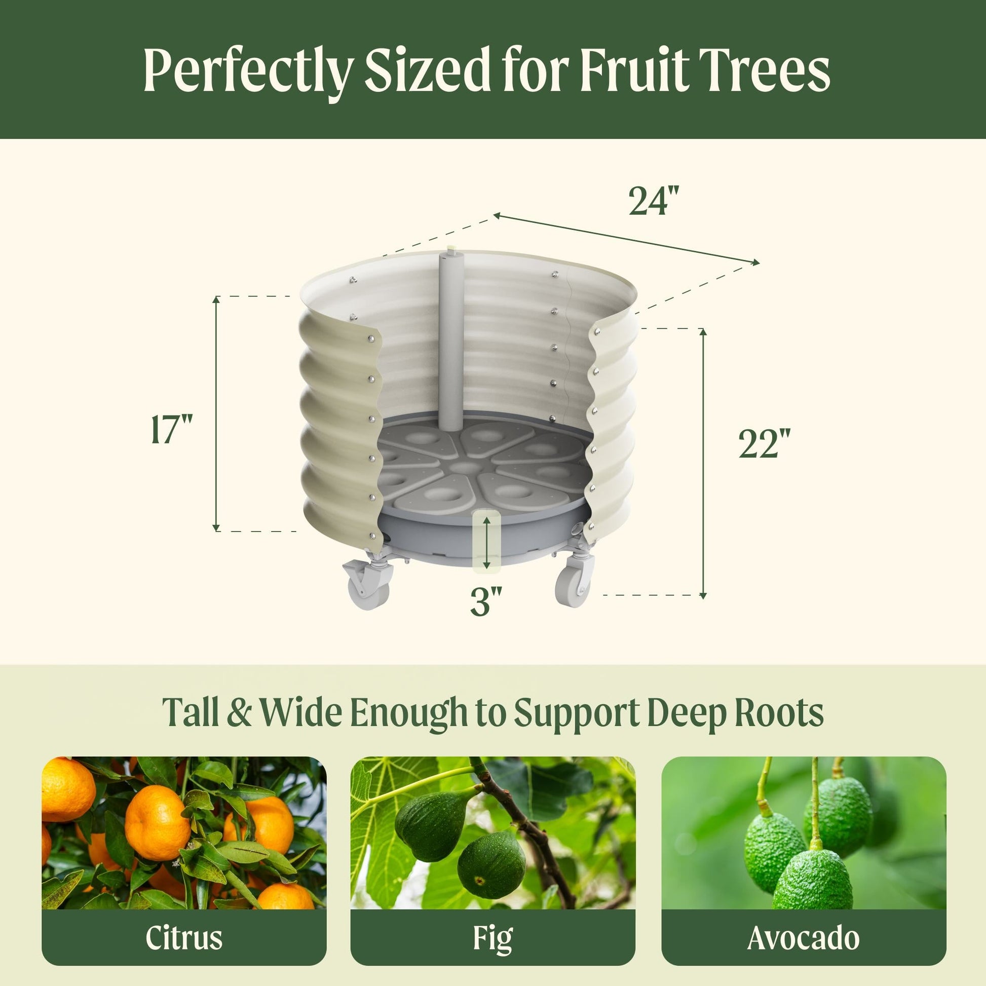 rolling seed planter Self-Watering Rolling Citrus Tree Planter, Pearl White / Single Pack