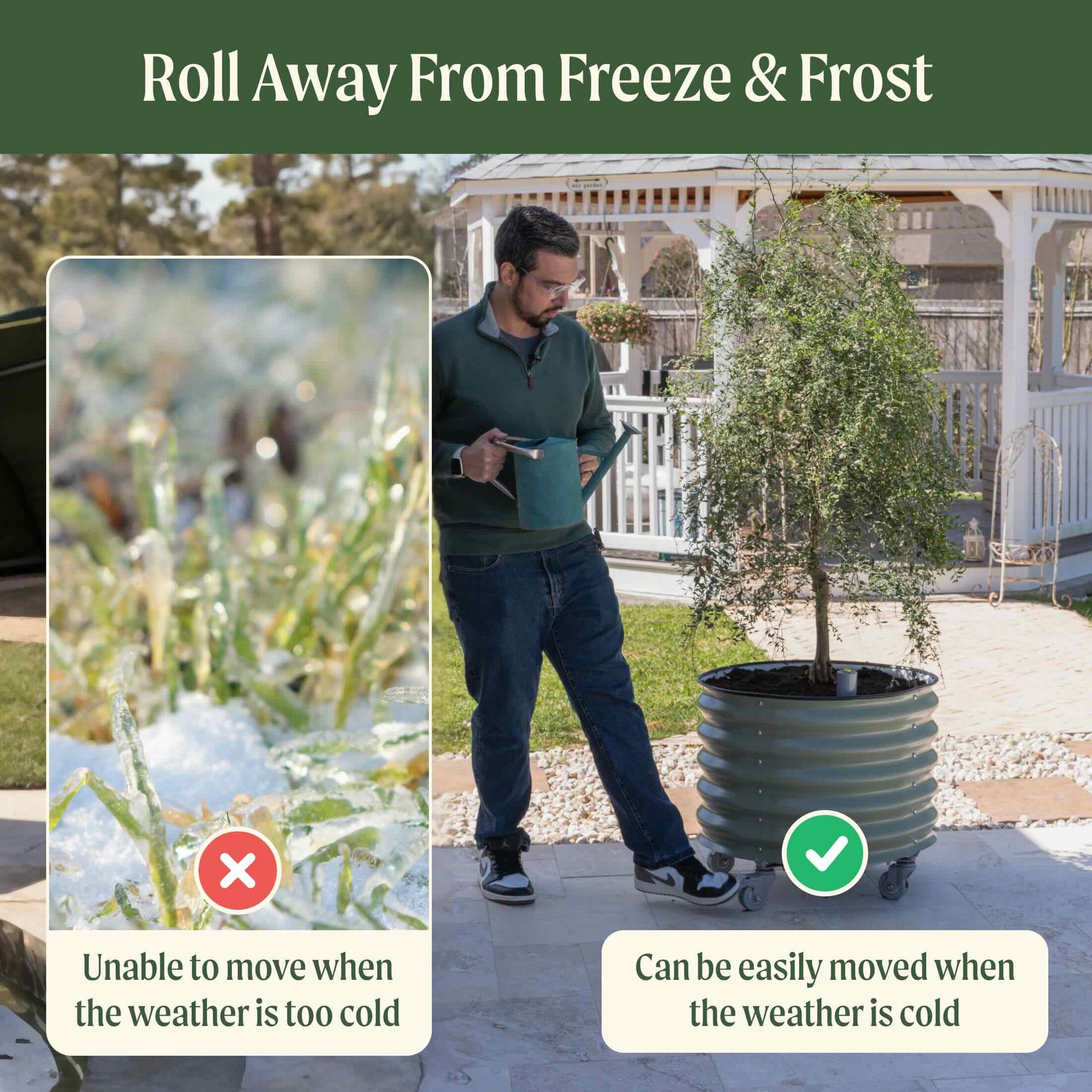 rolling self watering planter Self-Watering Rolling Citrus Tree Planter, Pearl White / Single Pack