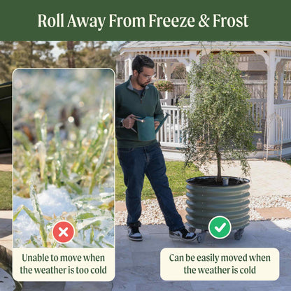 Vego Rolling Planter Self-Watering 2ft x 2ft - Tampa Home & Garden Store