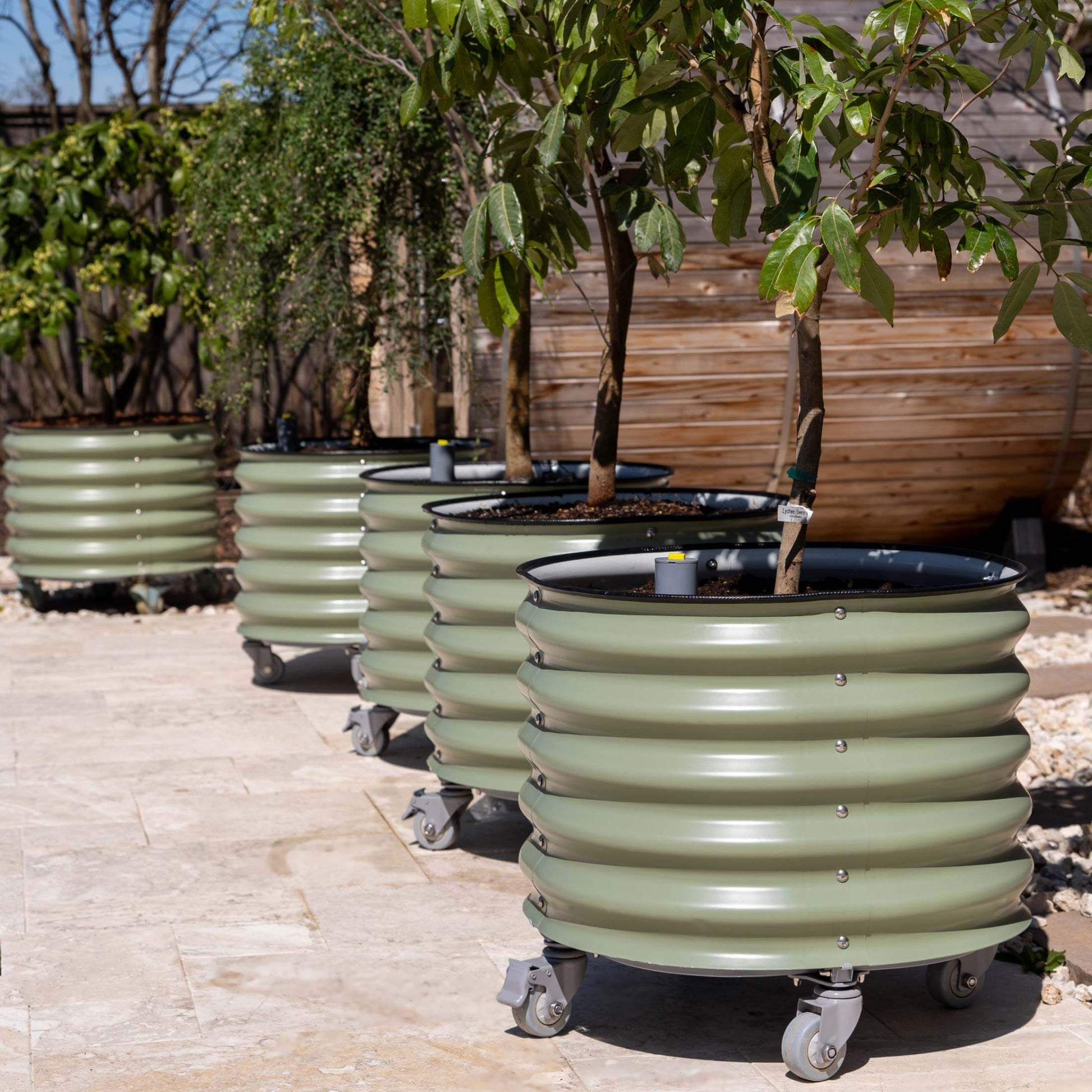 Vego Rolling Planter Self-Watering 2ft x 2ft - Tampa Home & Garden Store