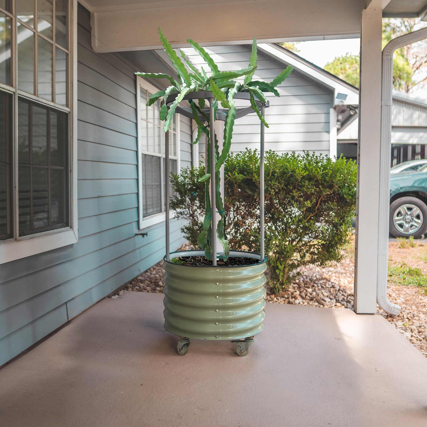 Jardinière roulante auto-arrosante Dragon Fruit