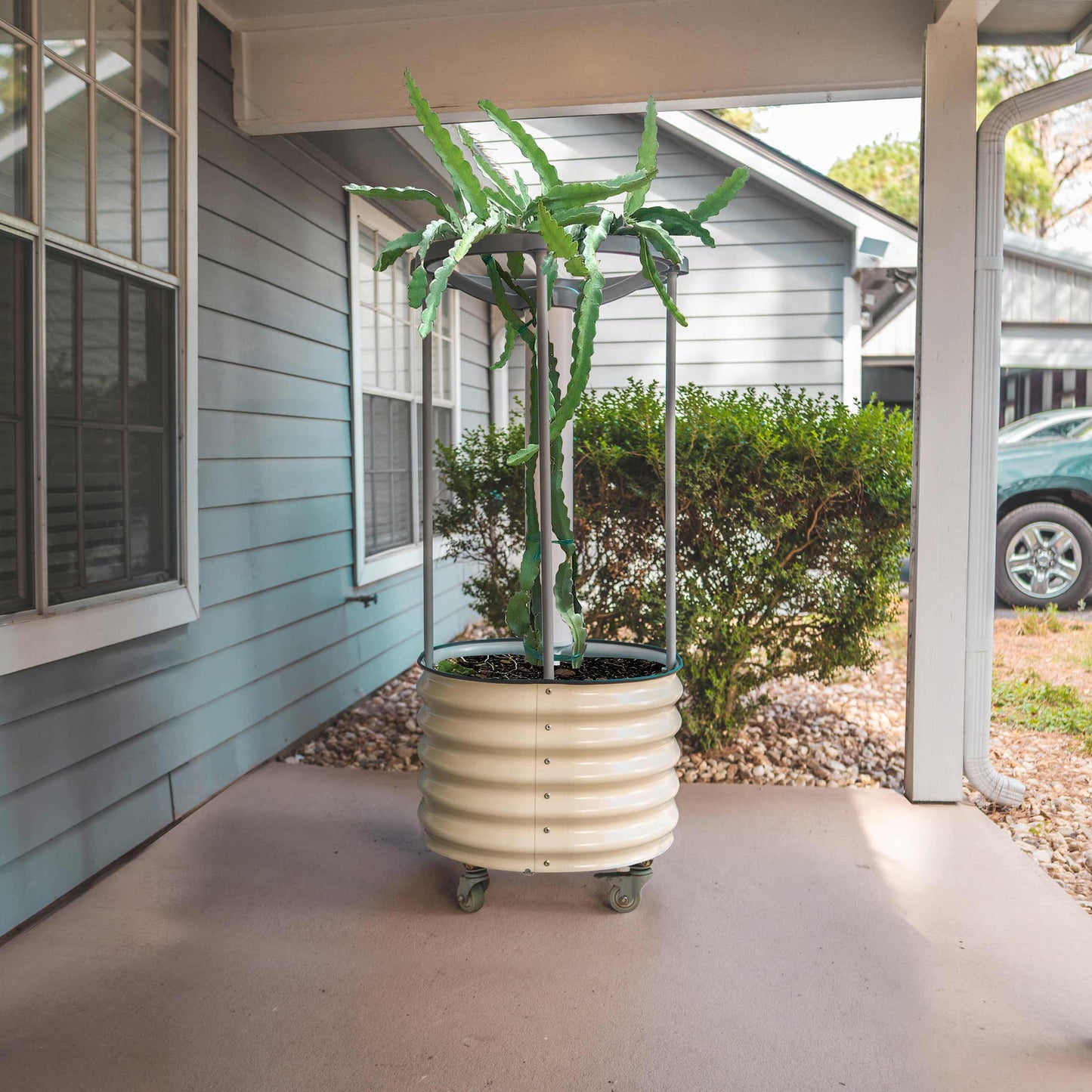 Jardinière roulante auto-arrosante Dragon Fruit