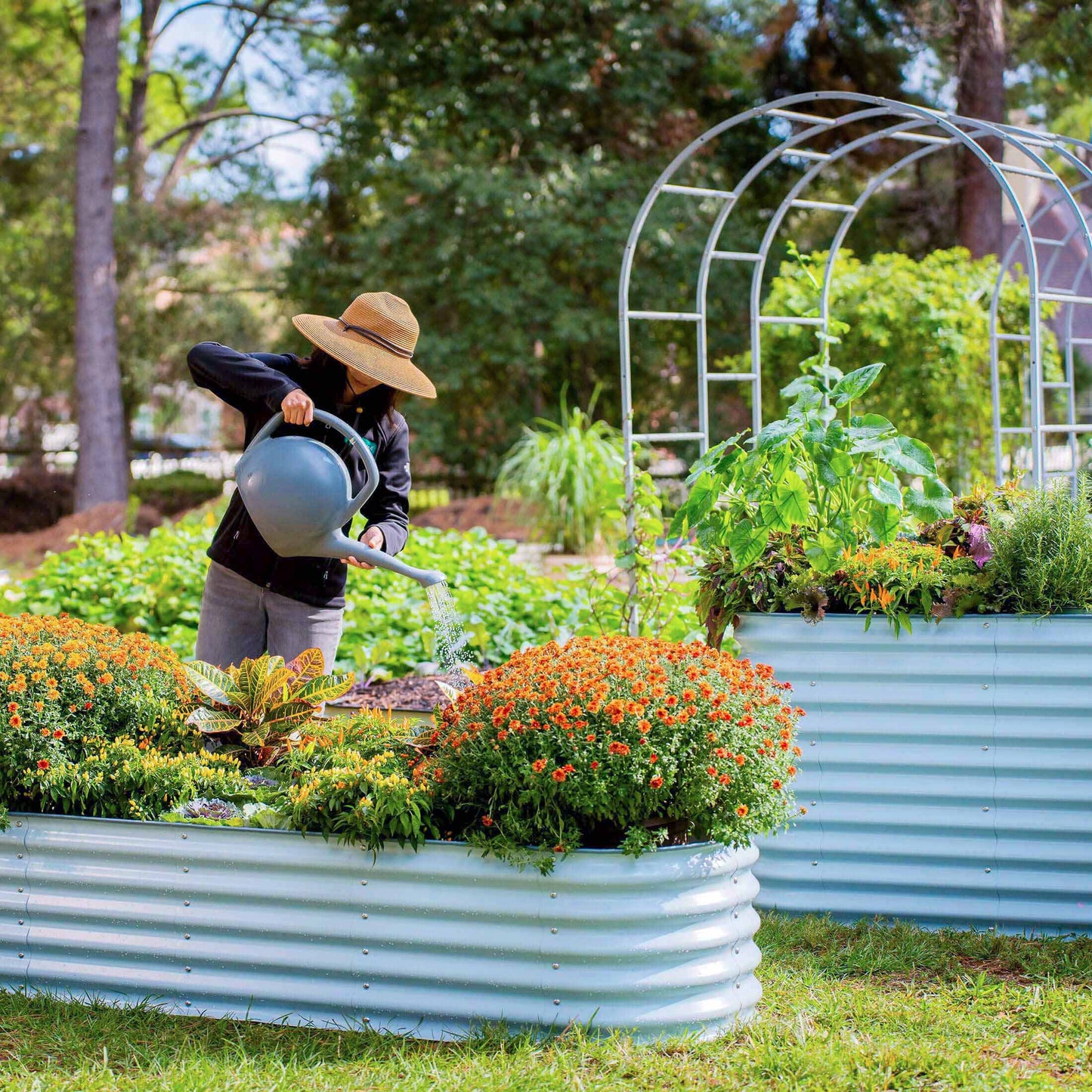 Ensemble de jardin surélevé de taille moyenne de 32 po de hauteur 6 en 1 en métal modulaire