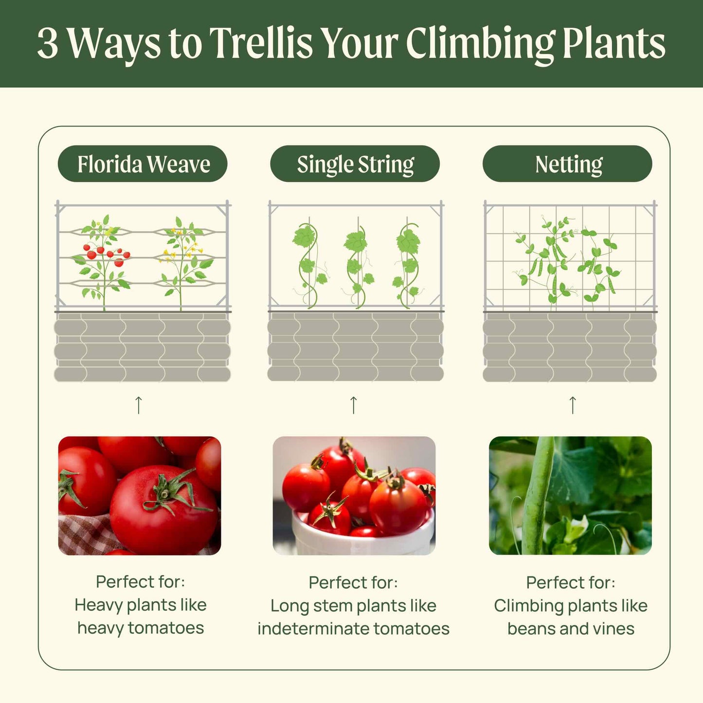 Metal Frame String Trellis