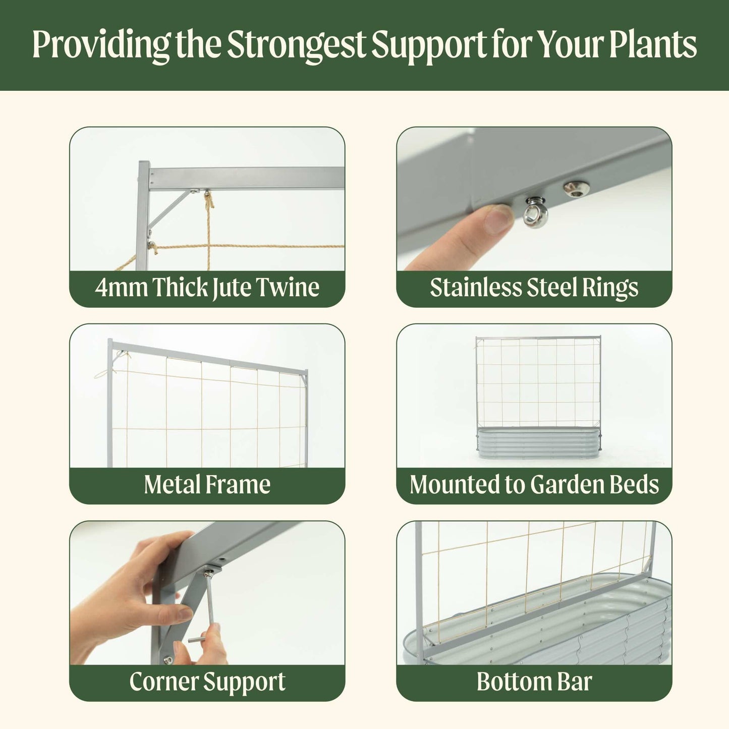 Metal Frame String Trellis