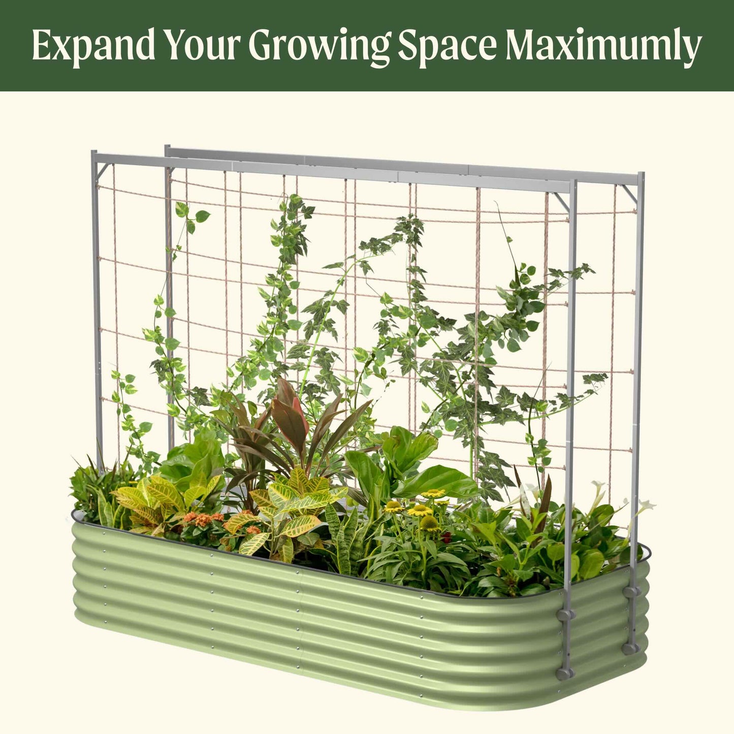 Metal Frame String Trellis