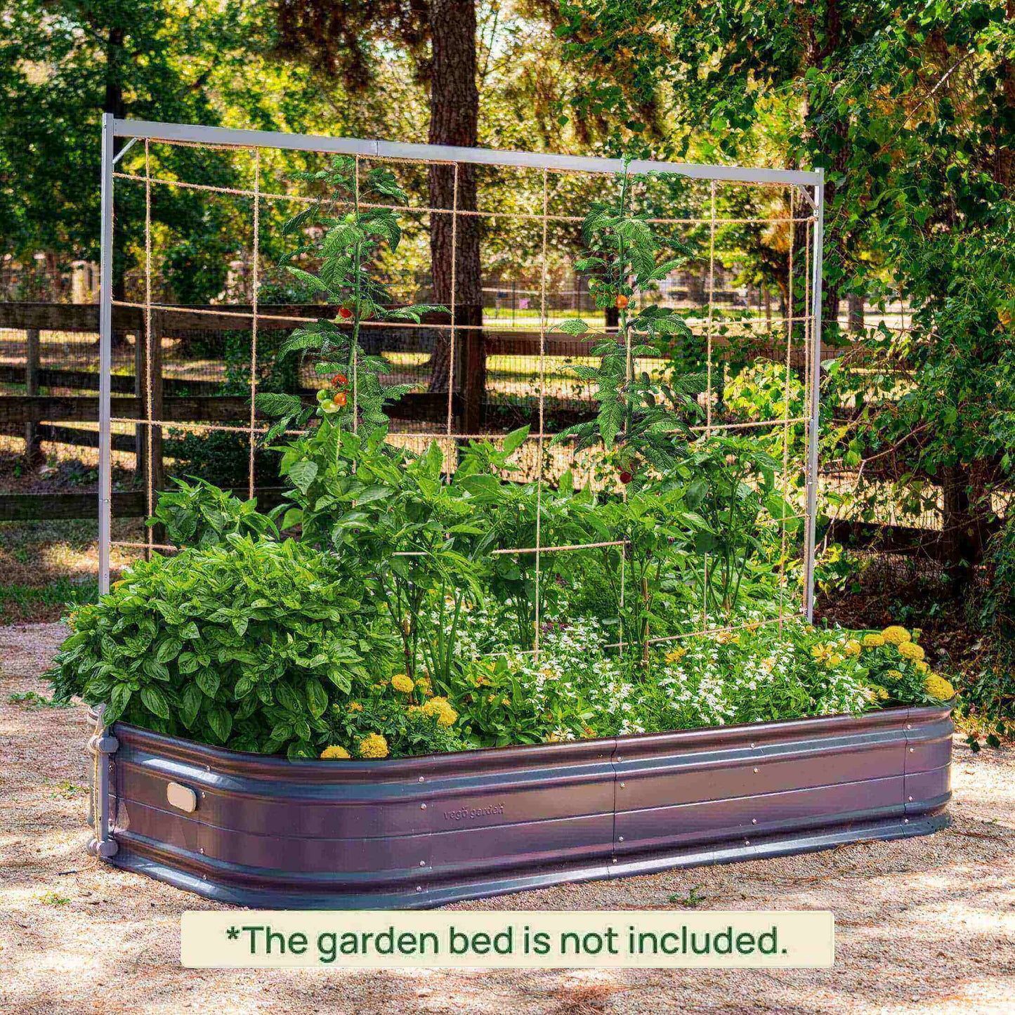 Metal Frame String Trellis