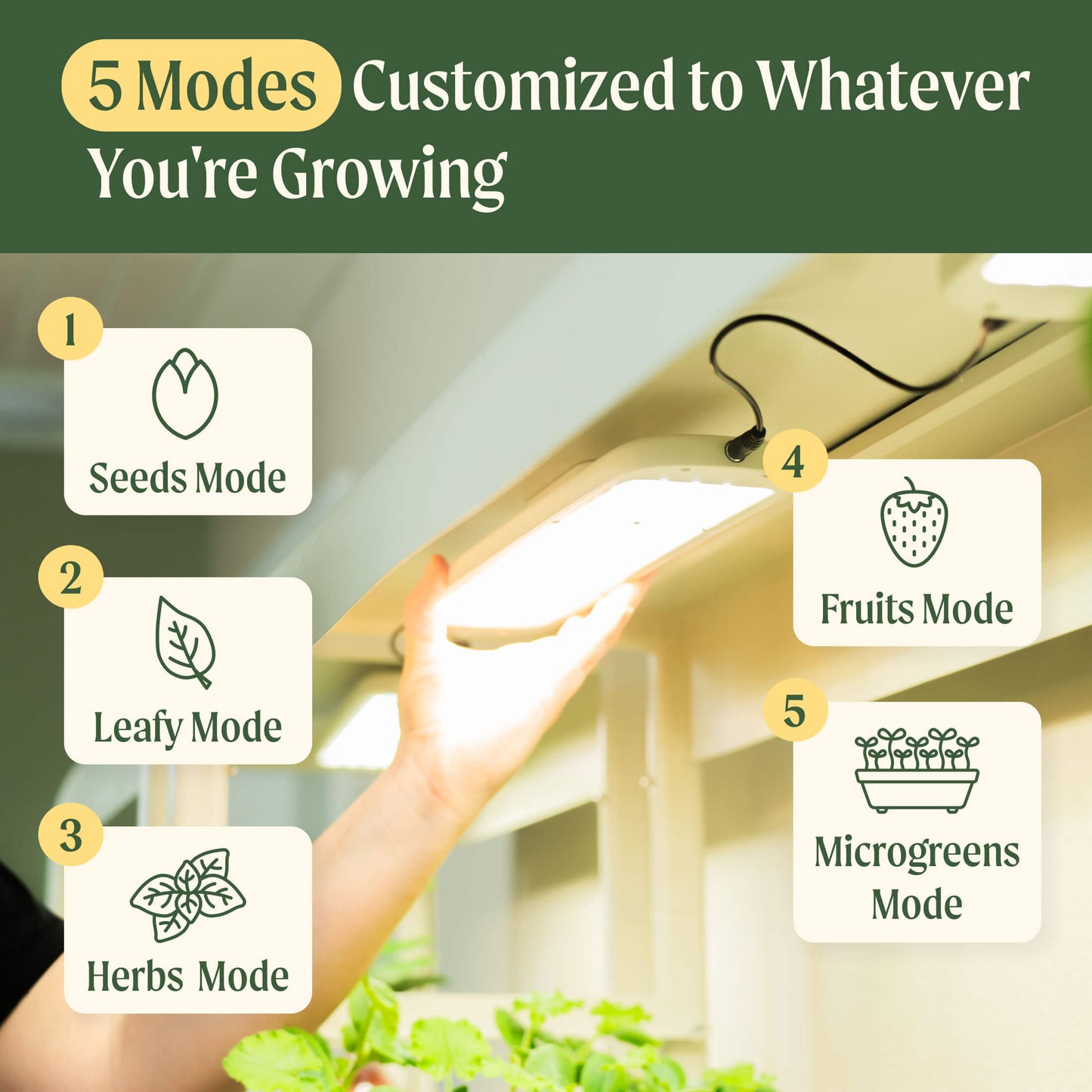 2 Tier Grow Light Garden