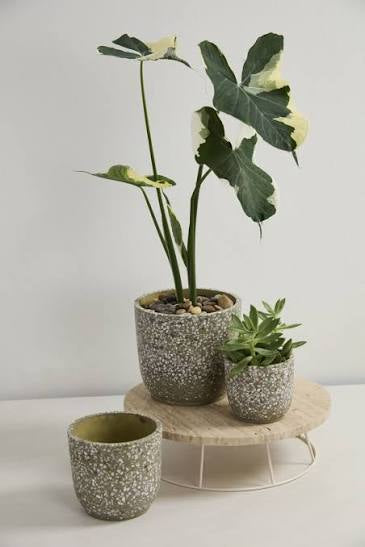 Verde pot - Tampa Home & Garden Store