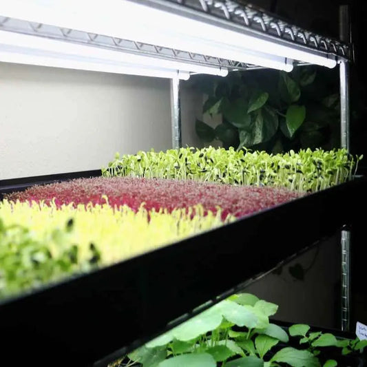 Vertical Grow Racks Automated Grow Rack | Complete - Tampa soil911.com