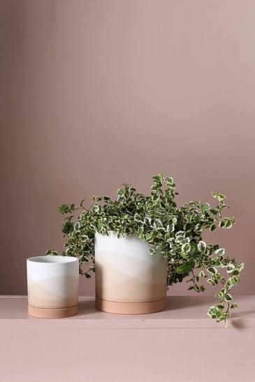 Vesper Pot - Tampa Home & Garden Store