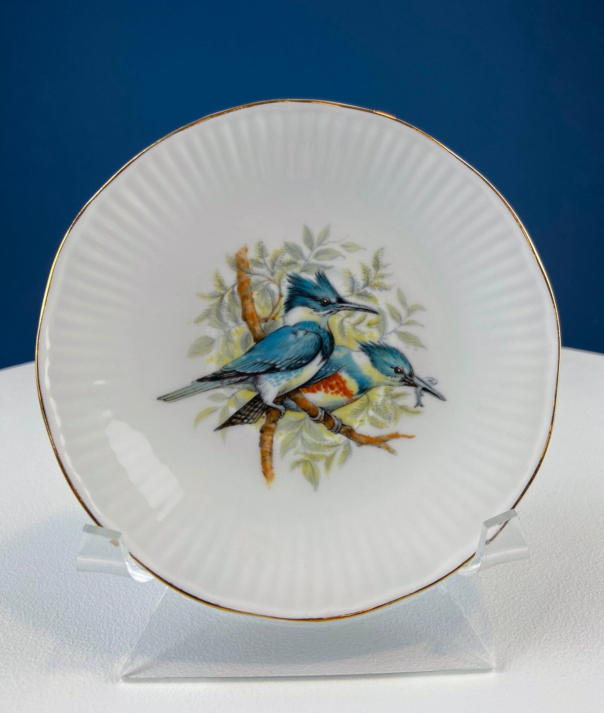 Vintage Cup and Saucer with Blue Birds. Queens's Fine Bone China. Birds of America. Pair of Kingfishers. Gift for Dad, Fisherman, Bird Lover - Tampa Home & Garden Store
