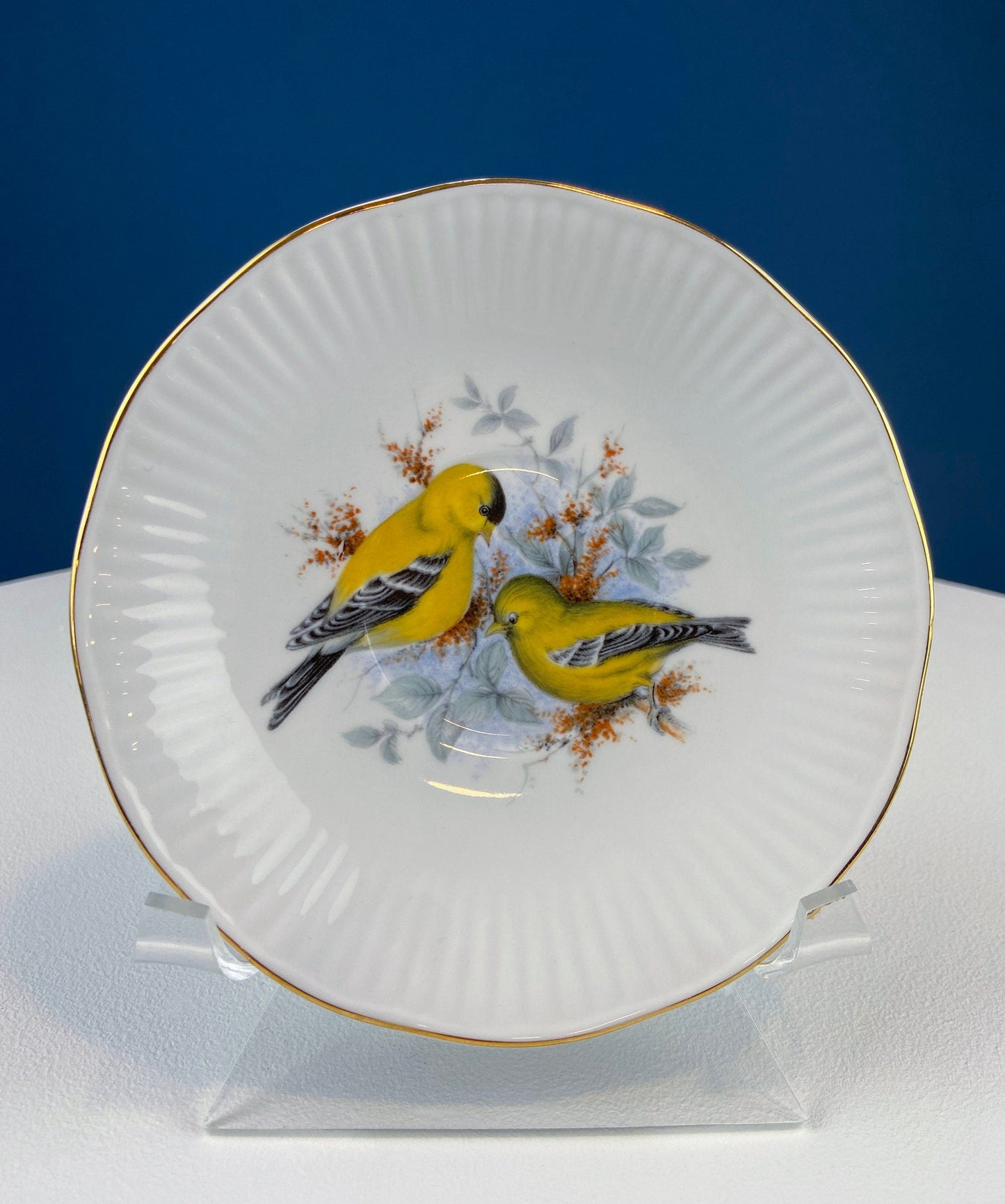 Vintage Cup and Saucer with Yellow Birds. Queens's Fine Bone China. Birds of America. Pair of Finches. Gift of Love. Modern Farmhouse. - Tampa Home & Garden Store