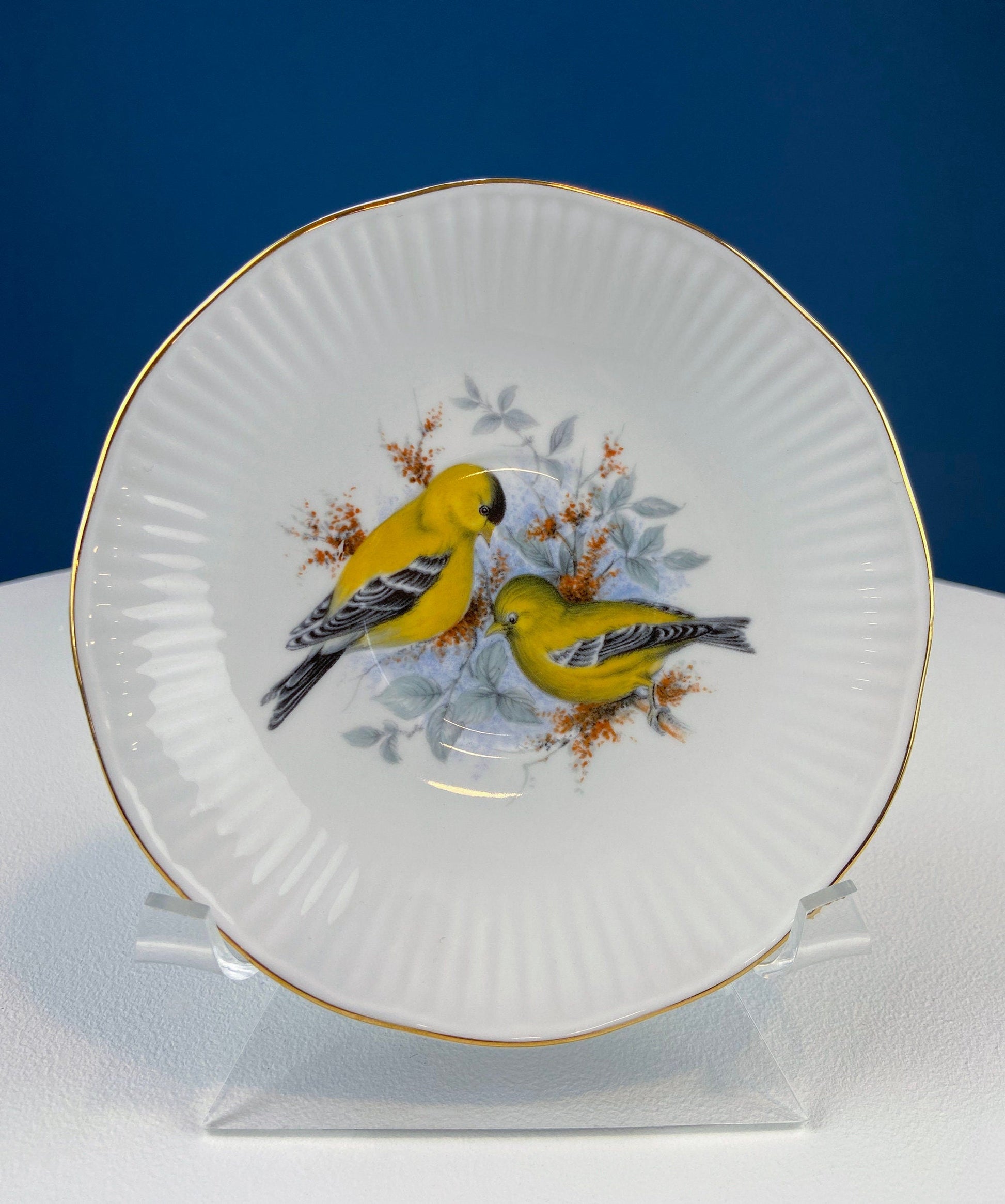 Vintage Cup and Saucer with Yellow Birds. Queens's Fine Bone China. Birds of America. Pair of Finches. Gift of Love. Modern Farmhouse. - Tampa Home & Garden Store