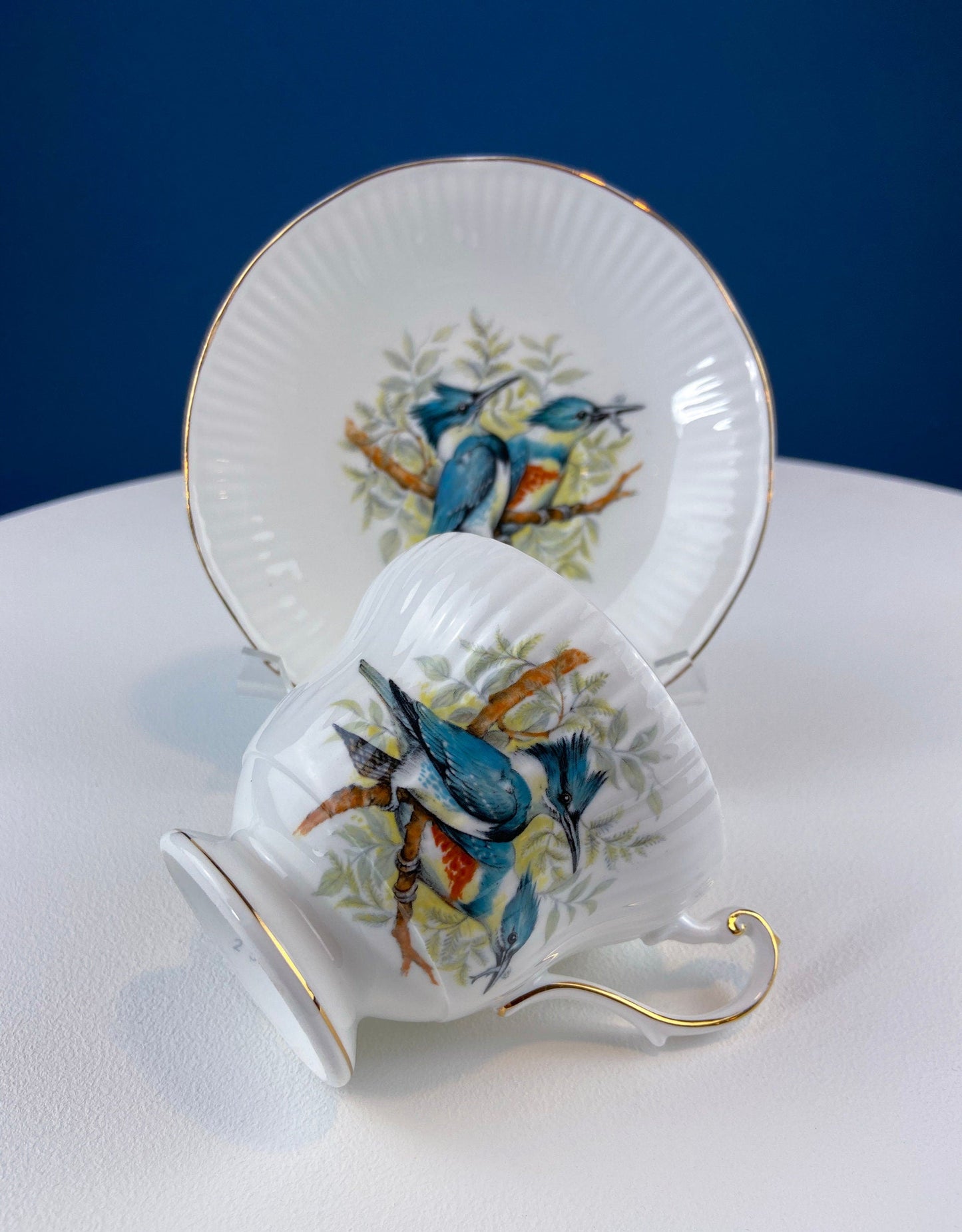 Vintage Cup and Saucer with Yellow Birds. Queens's Fine Bone China. Birds of America. Pair of Finches. Gift of Love. Modern Farmhouse. - Tampa Home & Garden Store
