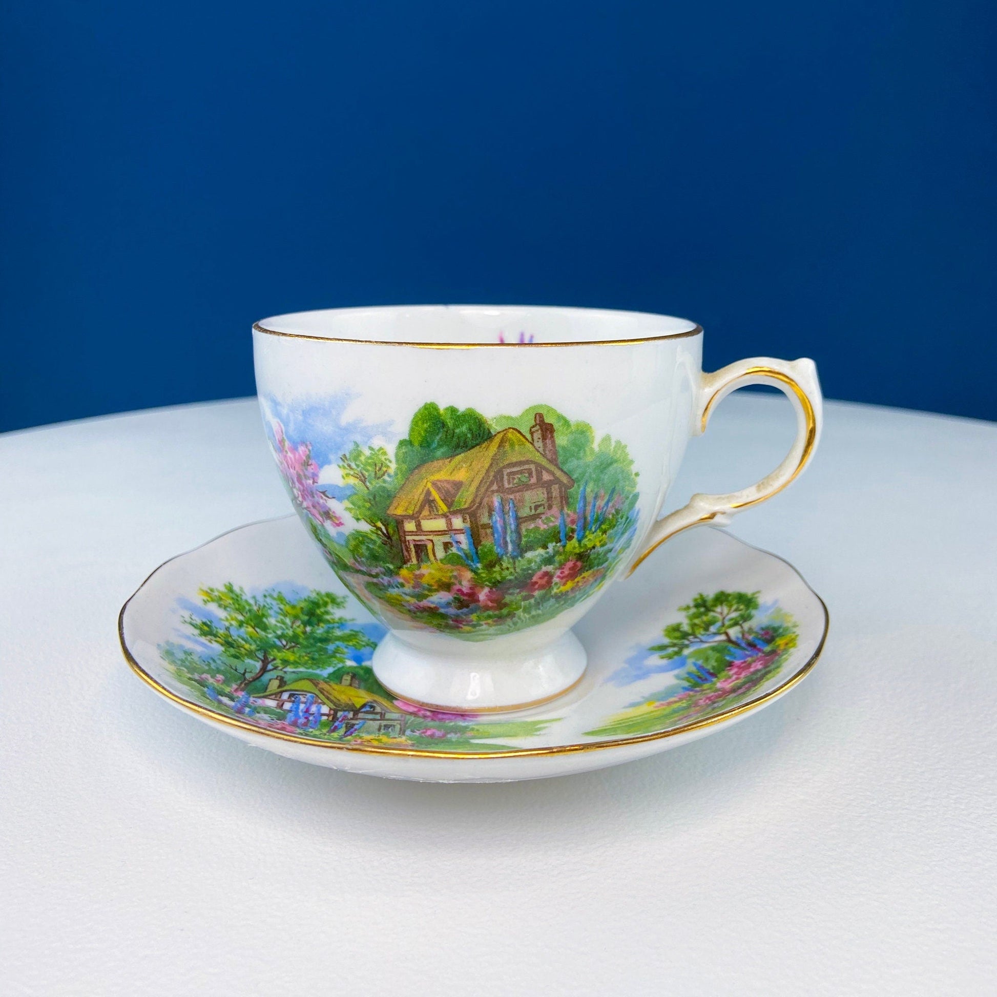 Vintage Royal Vale Tea Cup and Saucer: English Cottage Garden Motif - Tampa Home & Garden Store