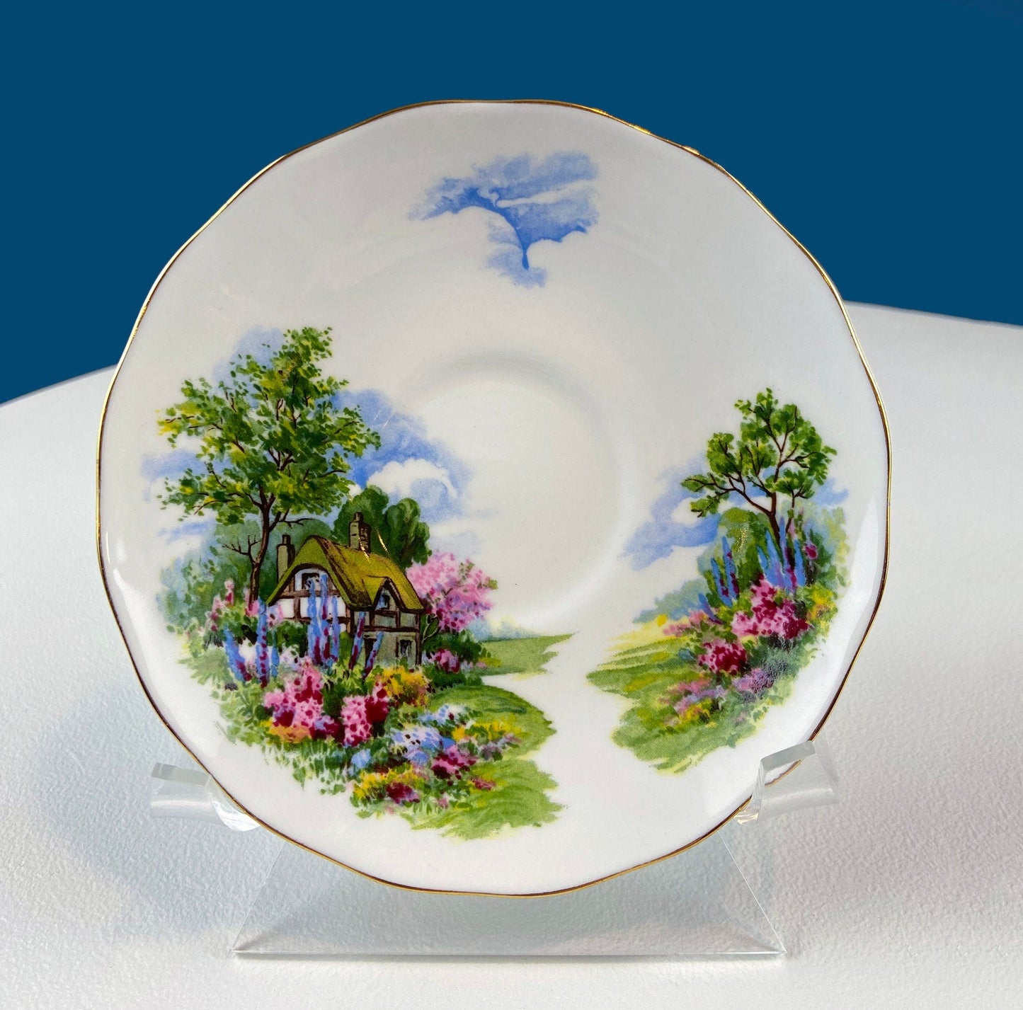 Vintage Royal Vale Tea Cup and Saucer: English Cottage Garden Motif - Tampa Home & Garden Store