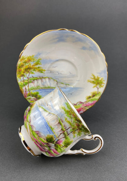 Vintage Royal Vale Tea Cup and Saucer: English Cottage Garden Motif - Tampa Home & Garden Store