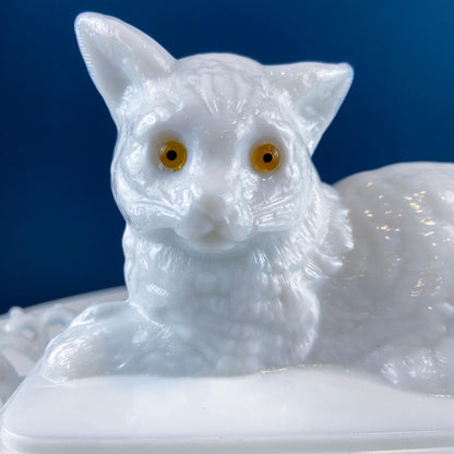 Vintage Westmoreland Milk Glass Cat Covered Dish. Trinket Condiment Serving Dish. Bath Display. Reticulated Lacey Edge. Gift for Cat Lover. - Tampa Home & Garden Store